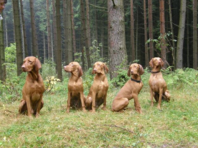 táta Glen, brácha Alex, Bad, brácha, máma