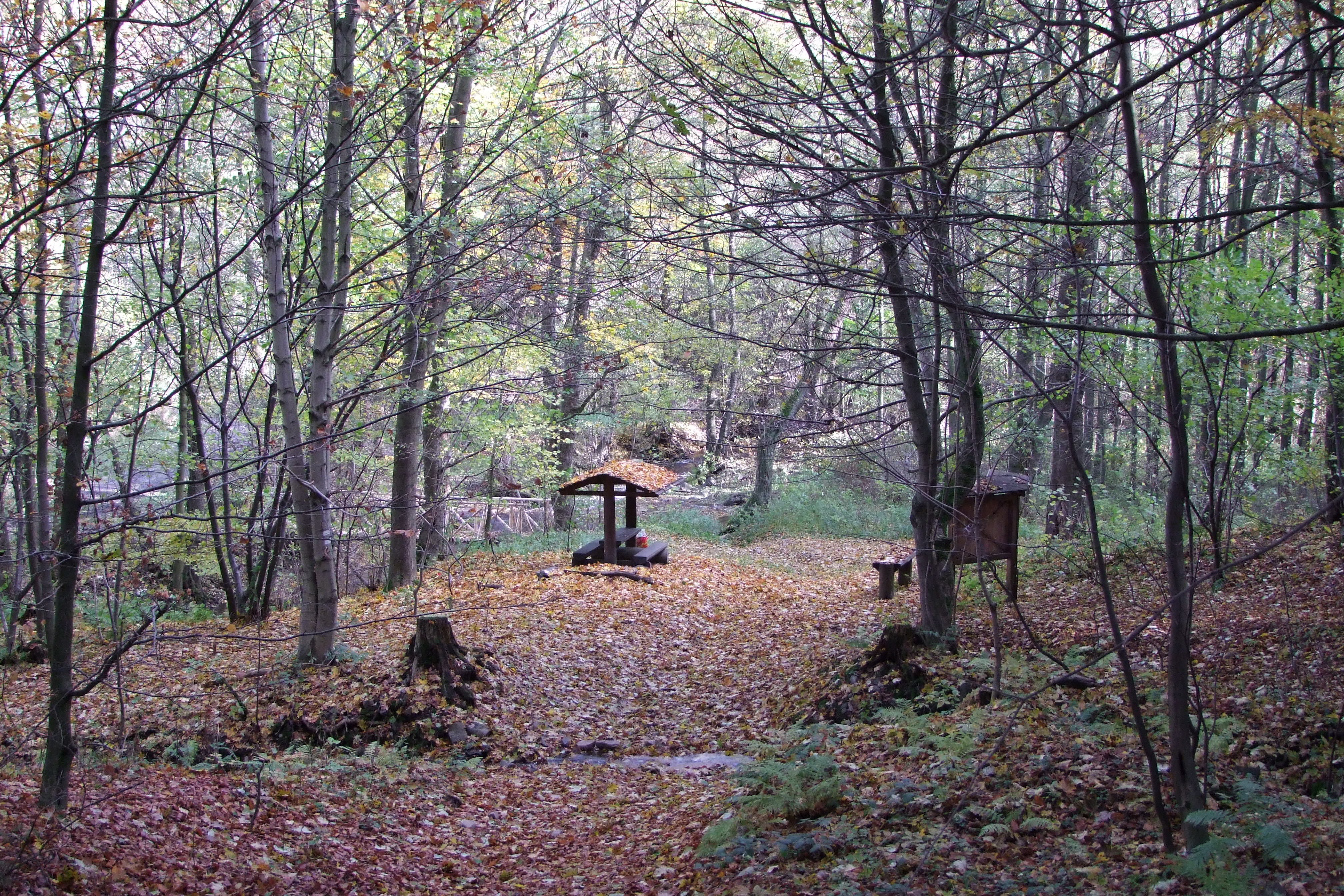 Bezručovo údolí 